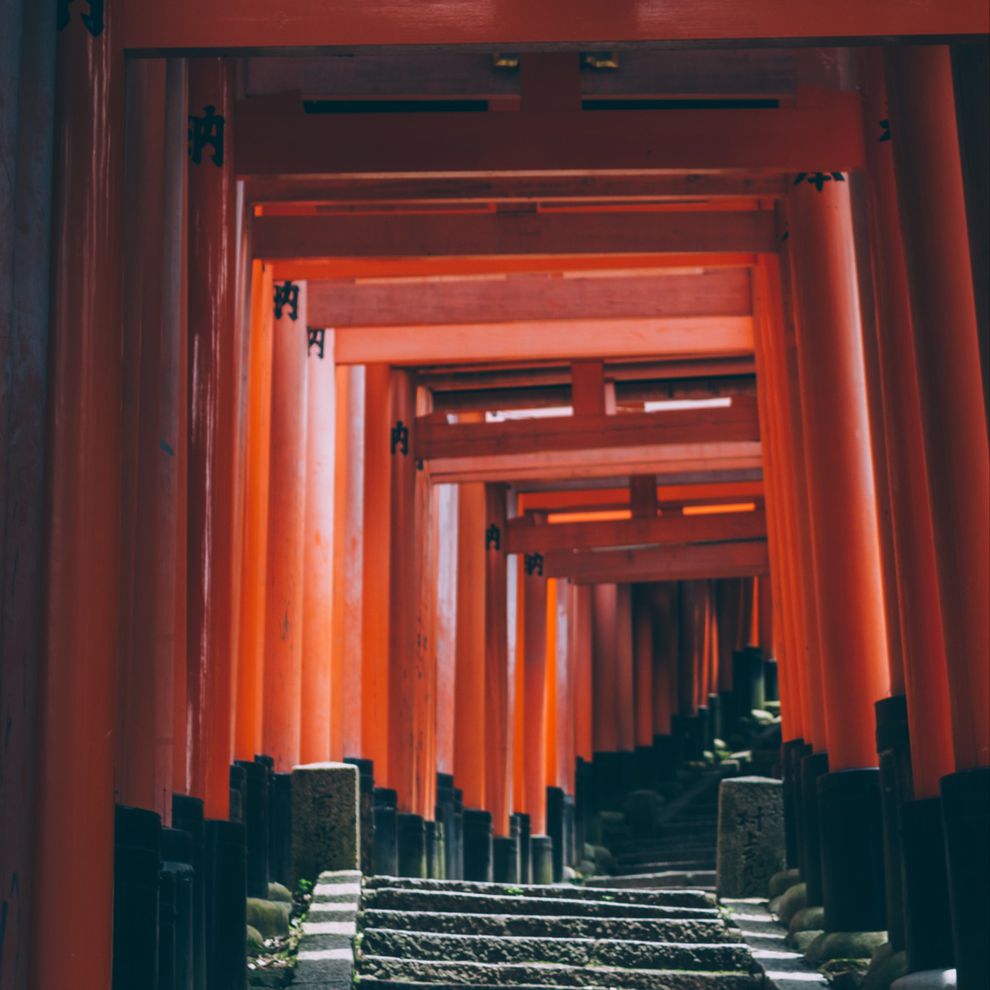 Inspiration image